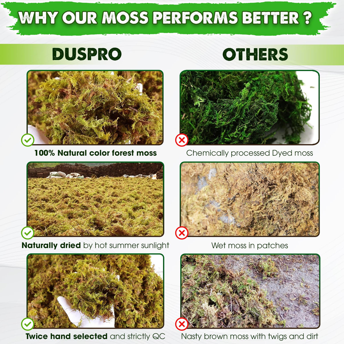 Duspro dried moss as pot cover and decorative mulch