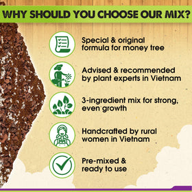 Duspro nutrient-rich formula with nitrates, potassium, and phosphorus supporting growth