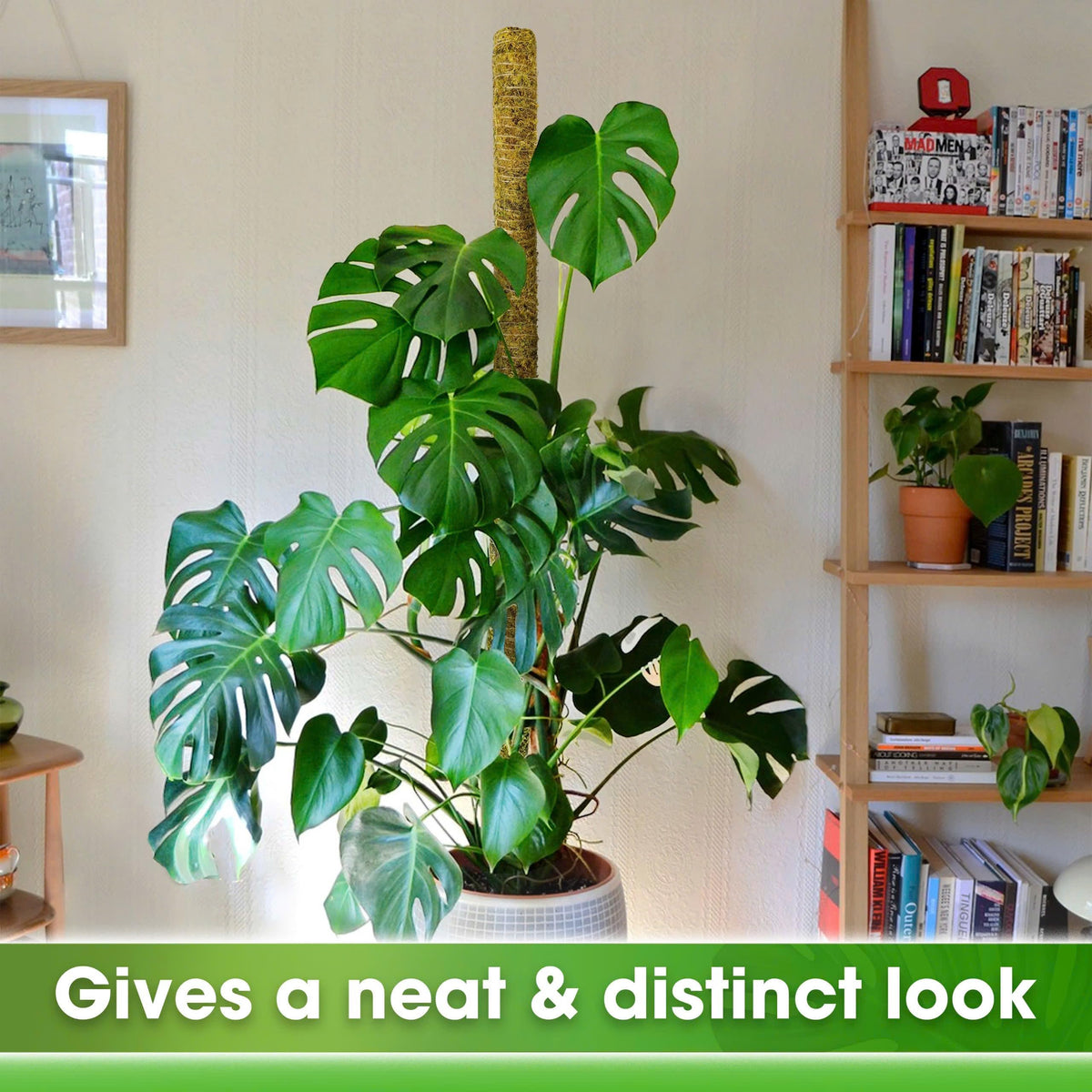 Duspro 59in moss pole fits 14–20 inch pots for big climbers.