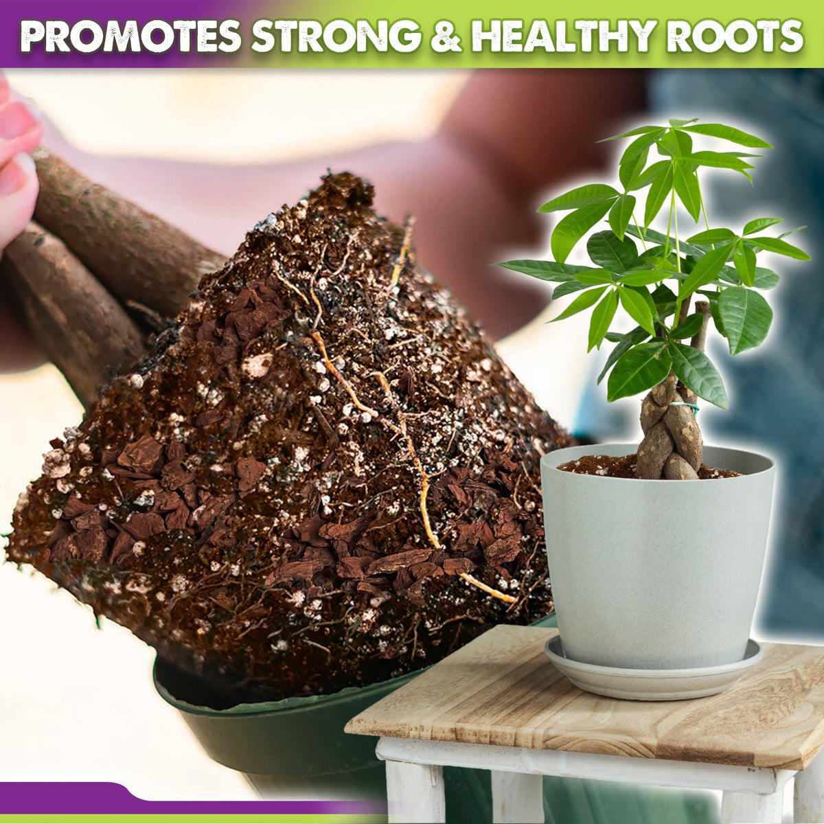 Duspro hands potting with ready-to-use soil saving prep time