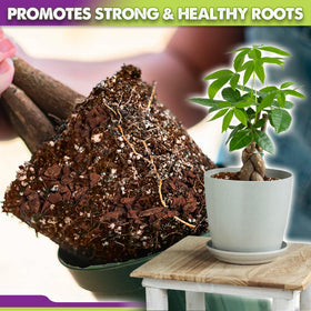 Duspro hands potting with ready-to-use soil saving prep time