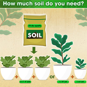 Duspro Quality-controlled soil provides reliable, ready-to-use results.