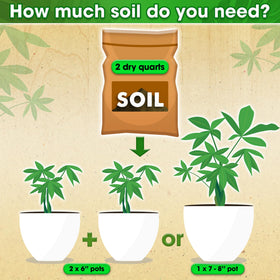 Duspro ready-to-use soil simplifies repotting tasks for busy gardeners