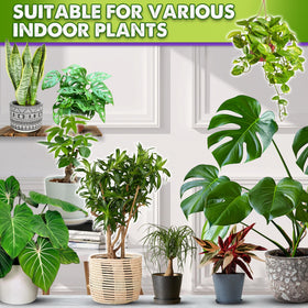 Duspro Recycle 8qt bag packaging ready for repotting projects