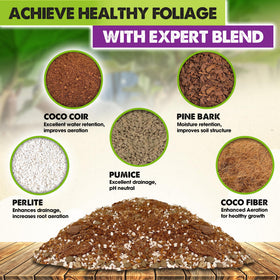 Duspro Recycle Fiddle Leaf Fig Soil ingredients close-up—coco coir and pumice benefits.