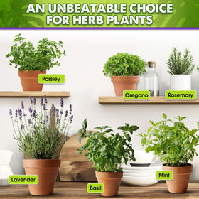 Duspro Recycle tropical plant soil in action supports lush indoor growth