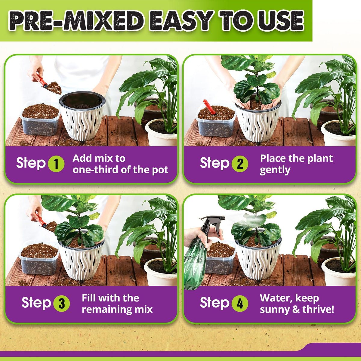 Duspro Specialized fiddle leaf figs blend promotes robust foliage and roots.