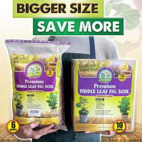 Duspro Sustainable coco coir-based soil supports eco-friendly indoor gardening.