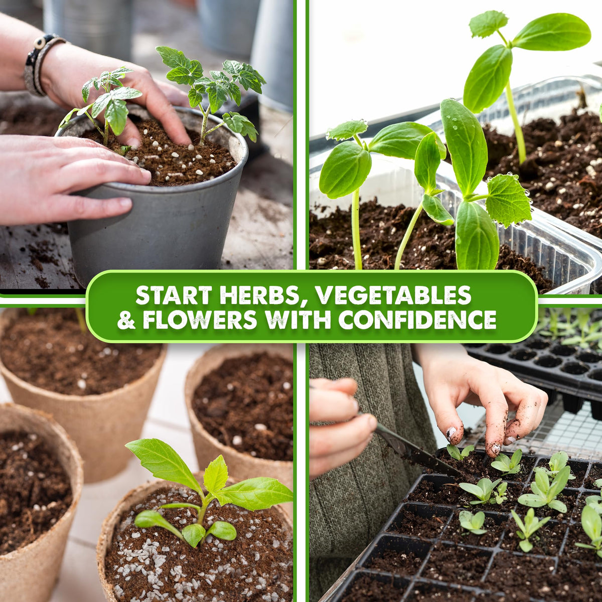 Duspro quality-checked seed starter soil ensures consistency across batches.