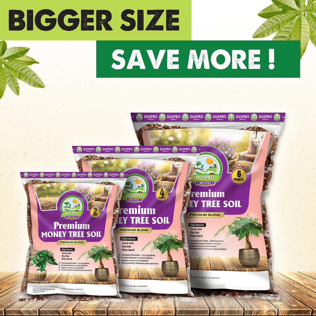 Duspro versatile soil ideal for money trees as well as succulents and monstera