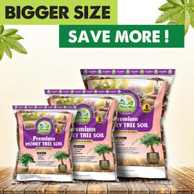 Duspro versatile soil ideal for money trees as well as succulents and monstera