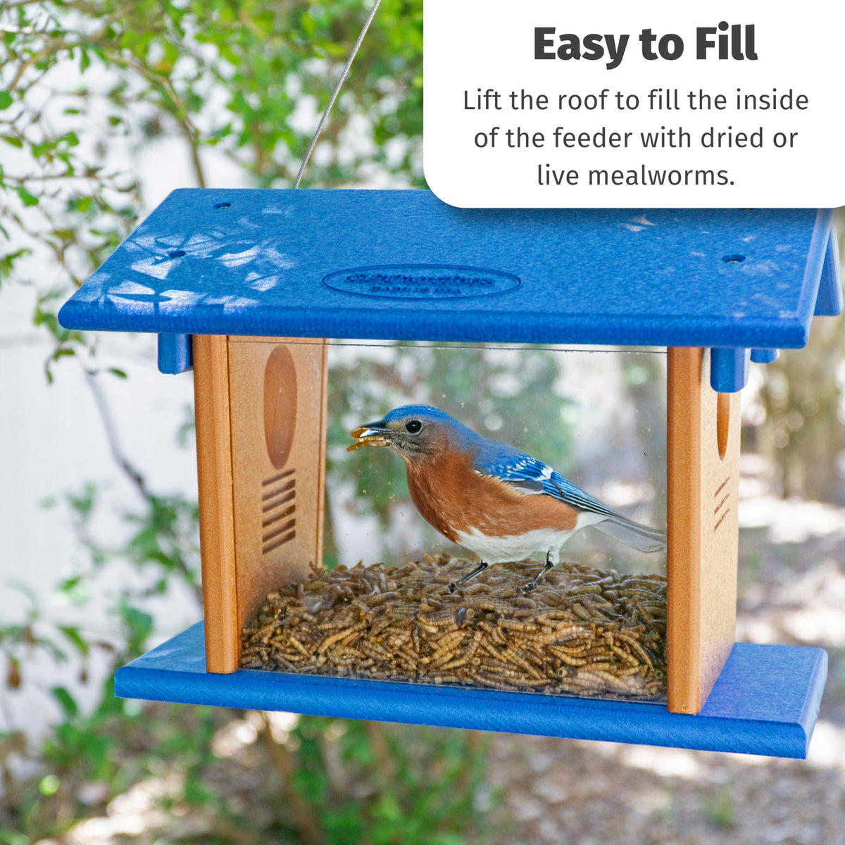 Amish-made bluebird feeder from Indiana for backyard birds