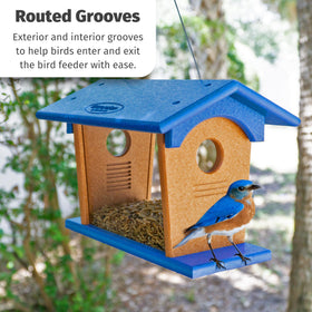 Mealworm capacity of two to three cups on the feeder