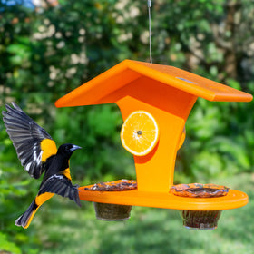 DutchCrafters Amish-handcrafted feeder invites orioles to feed.