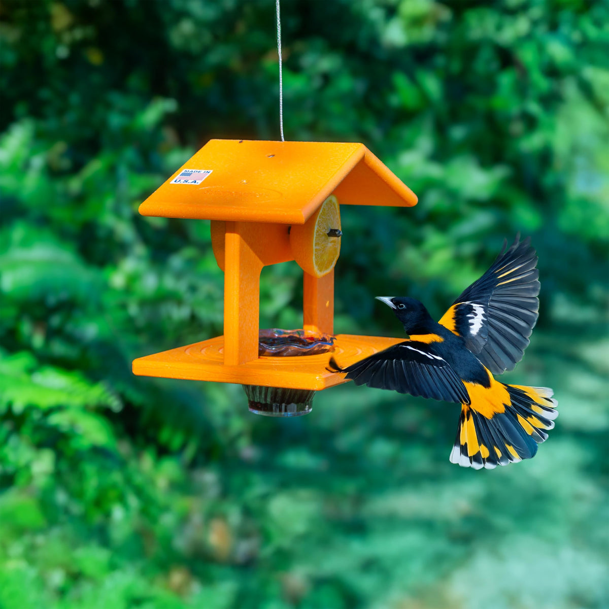 DutchCrafters recycled HDPE poly makes this feeder durable
