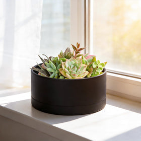 D'vine Dev drainage hole emphasizes breathable root space with a sturdy base
