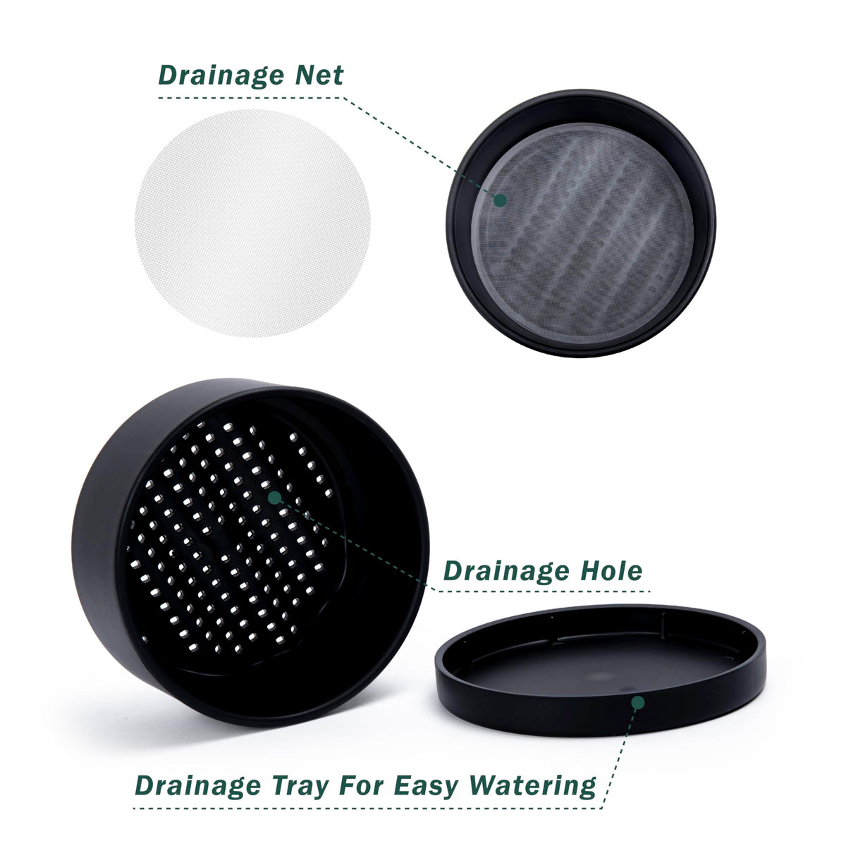D'vine Dev matte finish adds modern elegance to any indoor plant corner