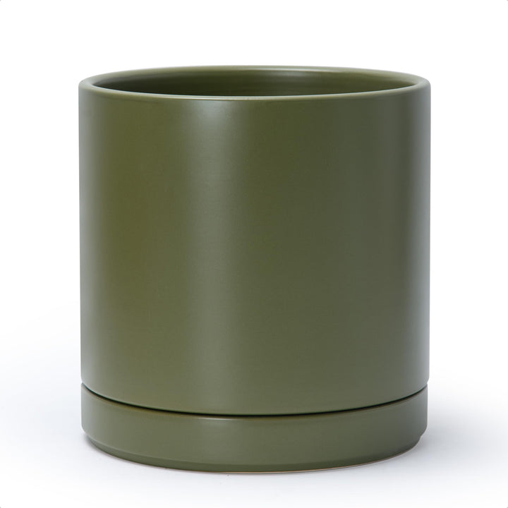 D'vine Dev 10-inch olive ceramic planter with drainage hole for indoor plants.