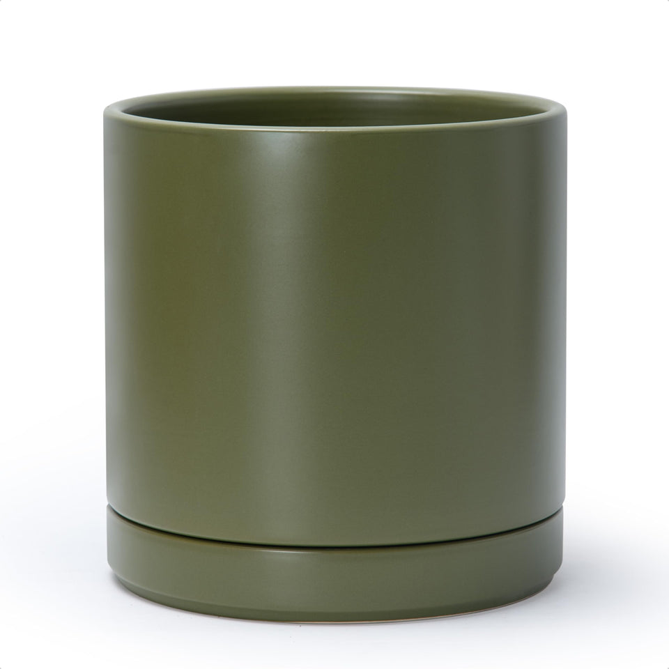 D'vine Dev 10-inch olive ceramic planter with drainage hole for indoor plants.