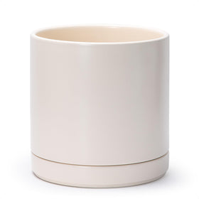 D'vine Dev 10-inch ceramic planter with drainage hole keeps indoor plants well-drained