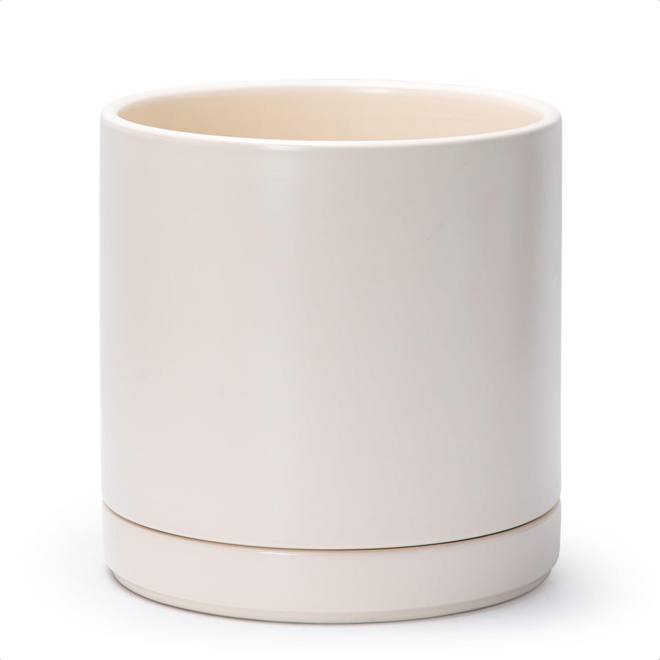 D'vine Dev 10-inch ceramic planter with drainage hole keeps indoor plants well-drained