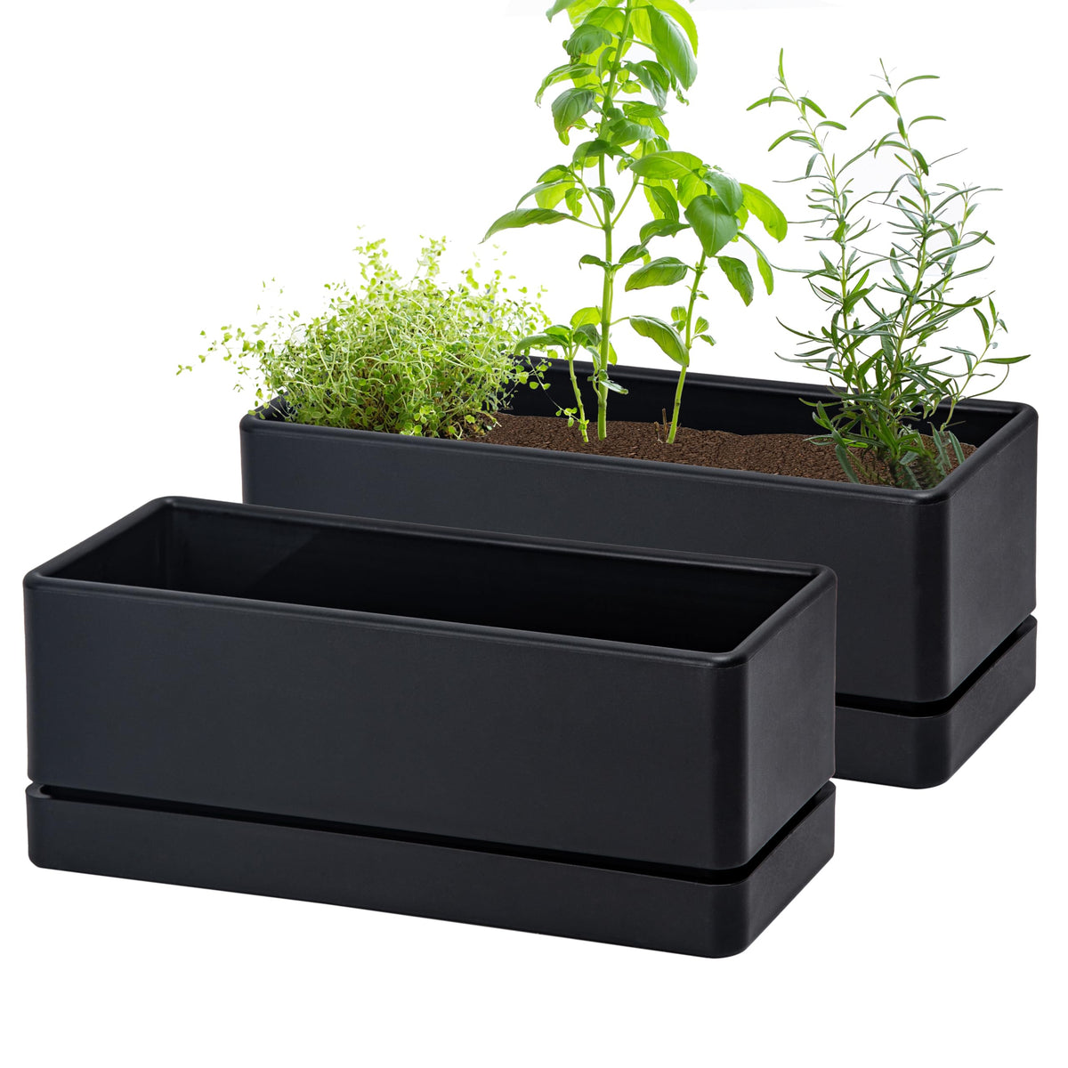 D'vine Dev 12-inch window box planter for compact herbs on a sunny windowsill.