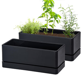 D'vine Dev 12-inch window box planter for compact herbs on a sunny windowsill.
