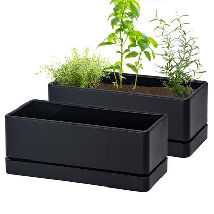 D'vine Dev 12-inch window box planter for compact herbs on a sunny windowsill.