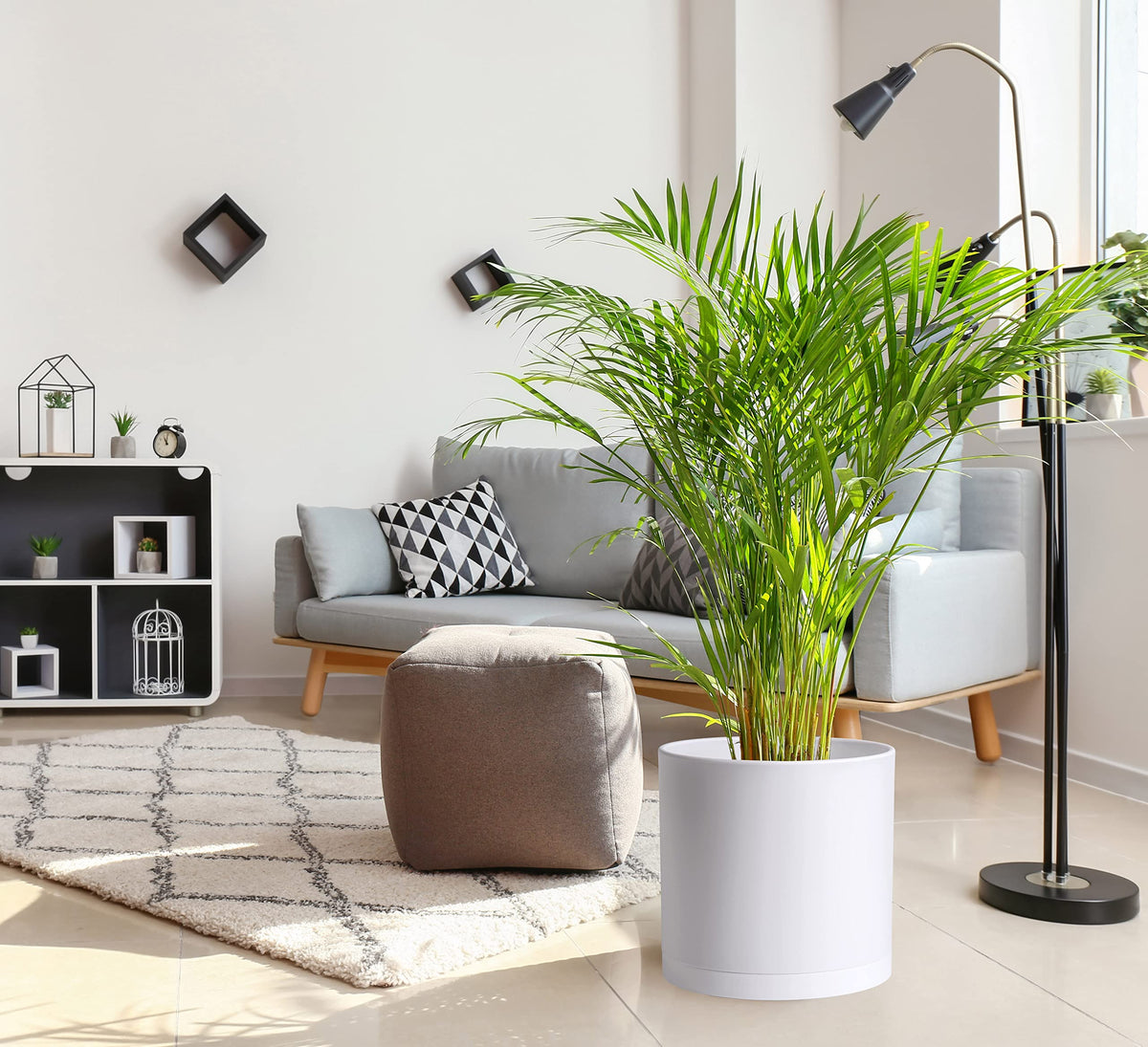 D'vine Dev 14-inch white planter with matte finish resists scratches.