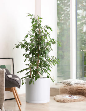 D'vine Dev planter includes a mesh net to prevent soil loss while draining.