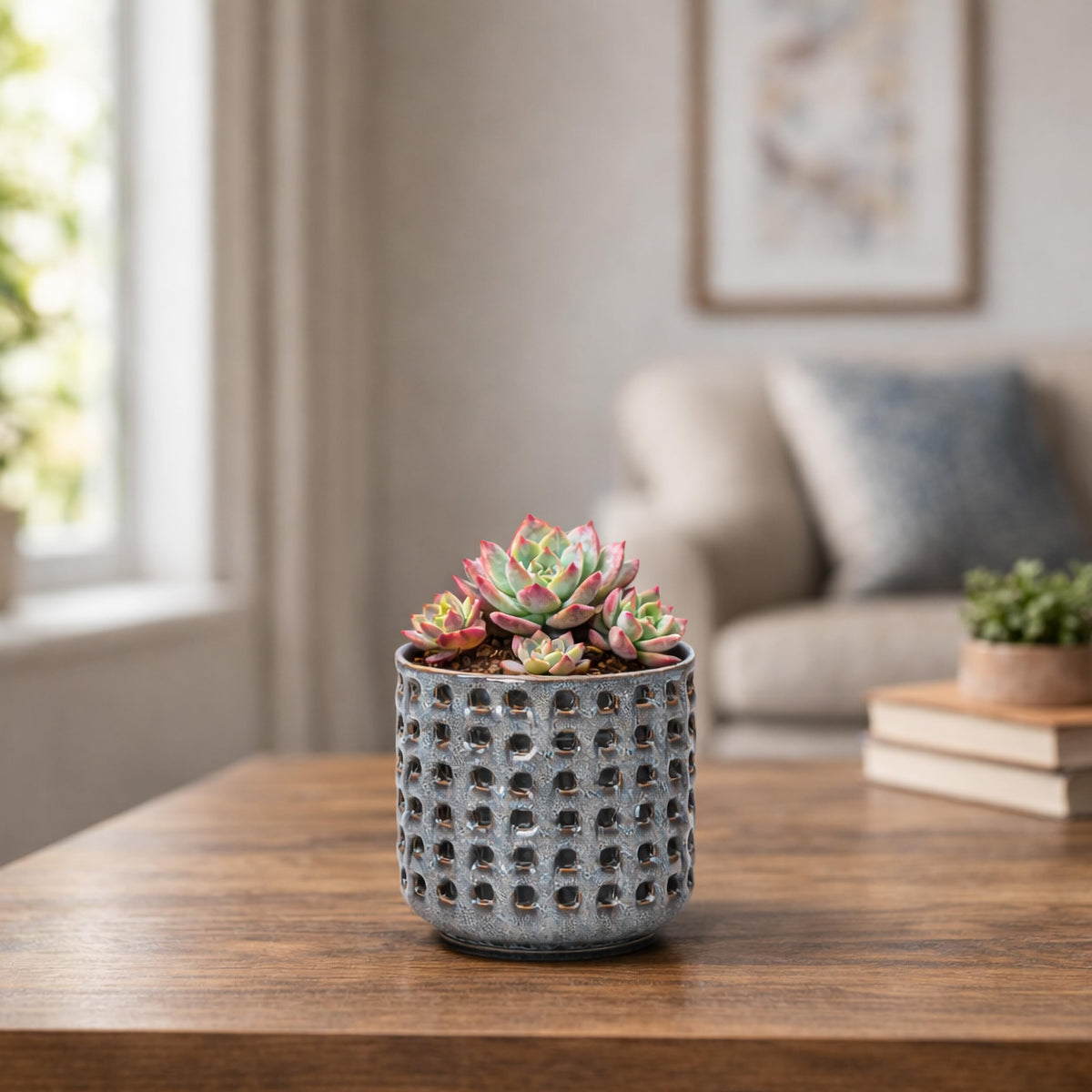 D'vine Dev 2-in-1 system suits orchids and indoor plants with versatile use