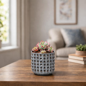 D'vine Dev 2-in-1 system suits orchids and indoor plants with versatile use