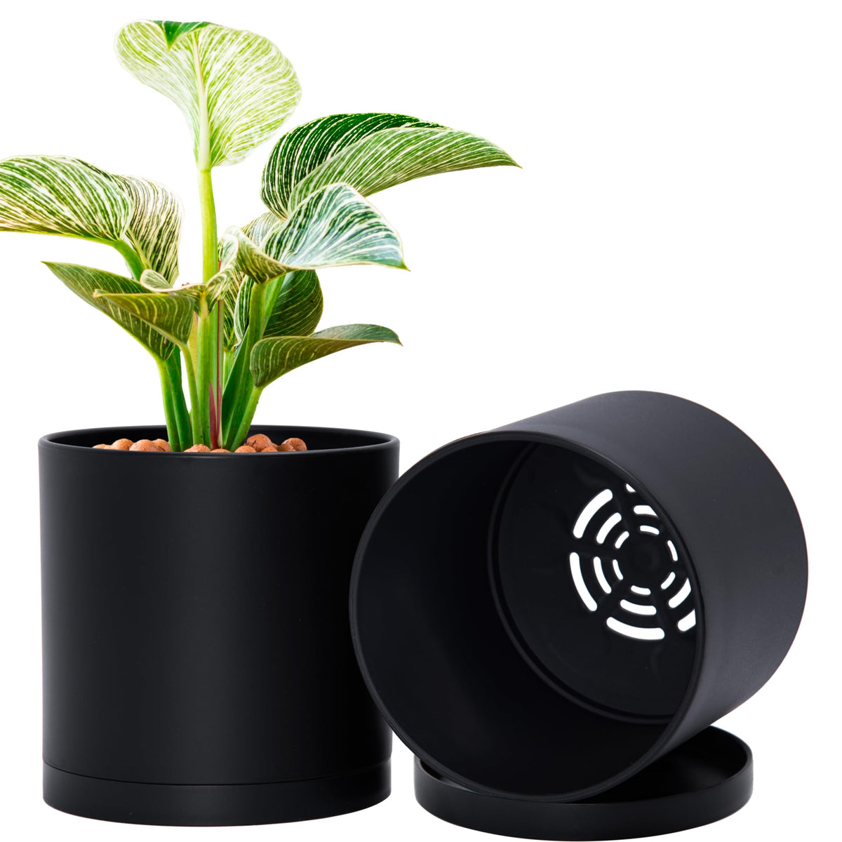 D'vine Dev 2-pack 6-inch planter with saucer for space-saving indoor gardening