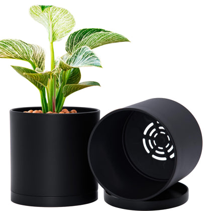D'vine Dev 2-pack 6-inch planter with saucer for space-saving indoor gardening