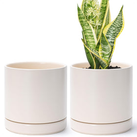 D'vine Dev 2-pack ceramic planters with 6.5-inch exterior for stylish indoor displays.
