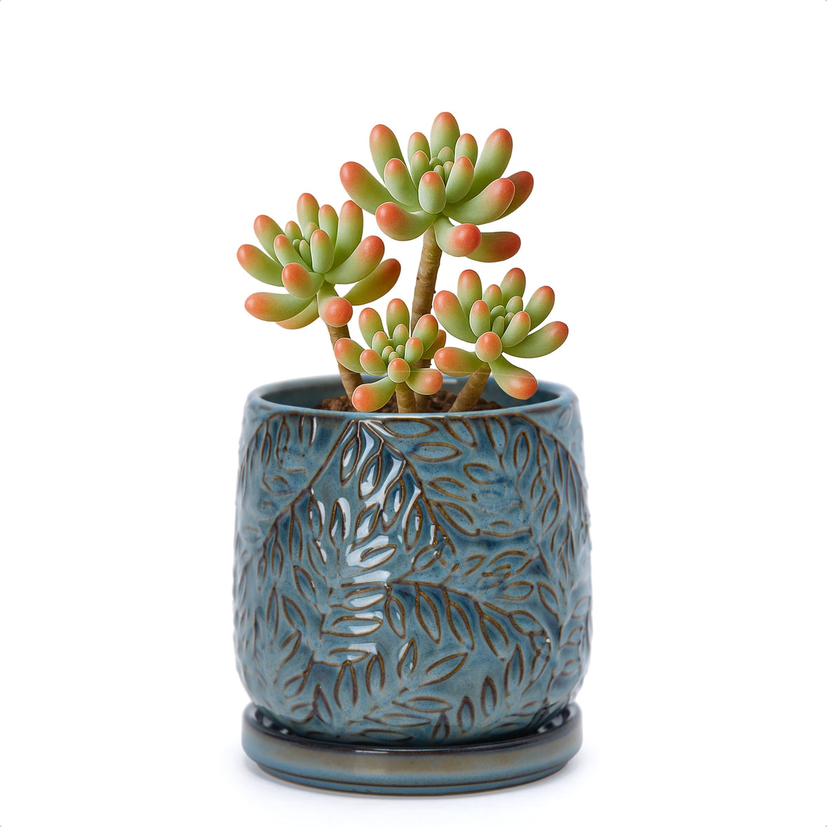 D'vine Dev 4-inch embossed leaves planter, top view, in durable stoneware.