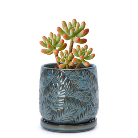 D'vine Dev 4-inch embossed leaves planter, top view, in durable stoneware.