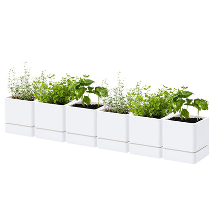 D'vine Dev 4-inch herb planter white front view for compact windowsill setups