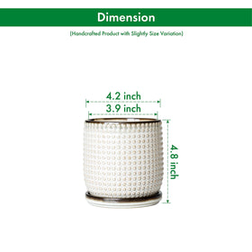 D'vine Dev 4-inch ceramic pot with detachable drip tray for compact herbs