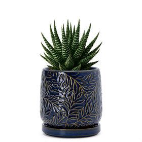 Dvine Dev 4-inch embossed leaves planter in midnight blue for stylish indoor displays.