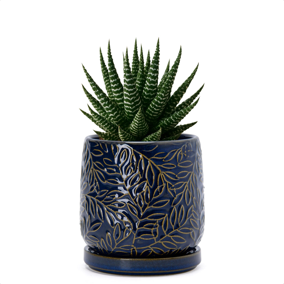 Dvine Dev 4-inch embossed leaves planter in midnight blue for stylish indoor displays.
