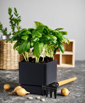 D'vine Dev 4-inch herb planter close-up highlighting drainage holes.