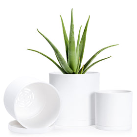 D'vine Dev 4-inch planter pot with saucer for tidy drainage and easy placement.