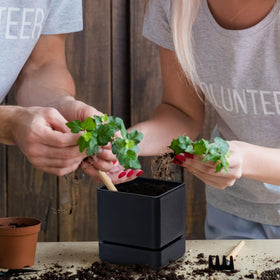 D'vine Dev 4-inch planter suits small flowers or succulents.