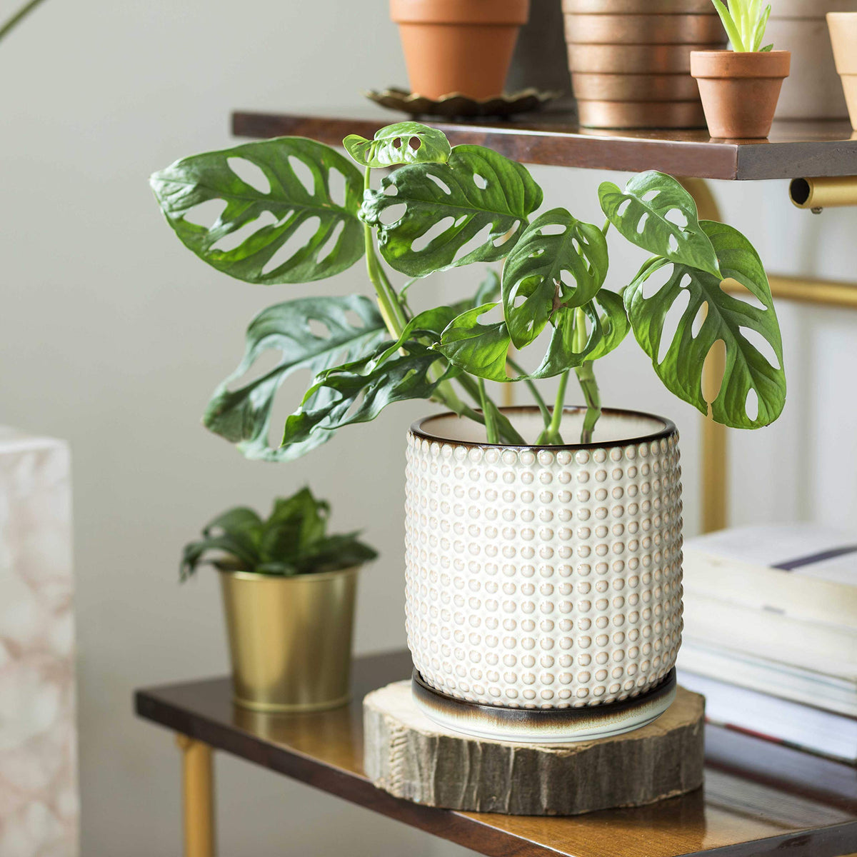 D'vine Dev beaded planter close-up highlighting textured ceramic beads for chic interiors