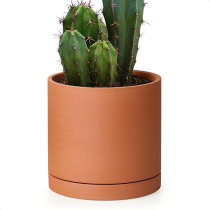 D'vine Dev 6-inch terracotta pot front view with breathable clay for indoor plants
