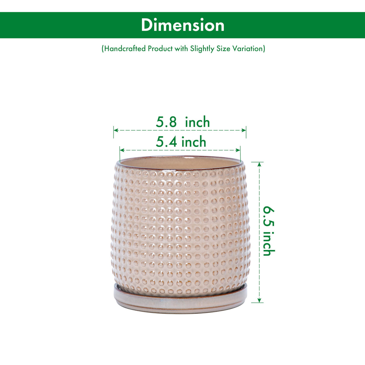 D'vine Dev 6-inch planter with precise dimensions for compact setups