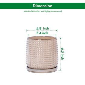 D'vine Dev 6-inch planter with precise dimensions for compact setups