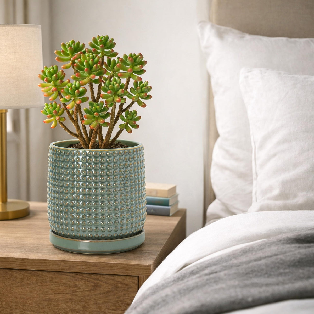 Close-up of beaded detailing on the olive planter by D'vine Dev.