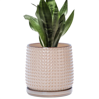 D'vine Dev ceramic beaded planter close-up highlighting stylish textured beads for indoor decor